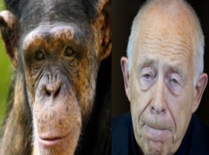 Doppelgänger: Heiner Geißler und Schimpanse